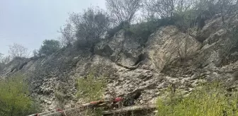 Karabük'te Kayalık Alana Düşen İnek Kurtarıldı