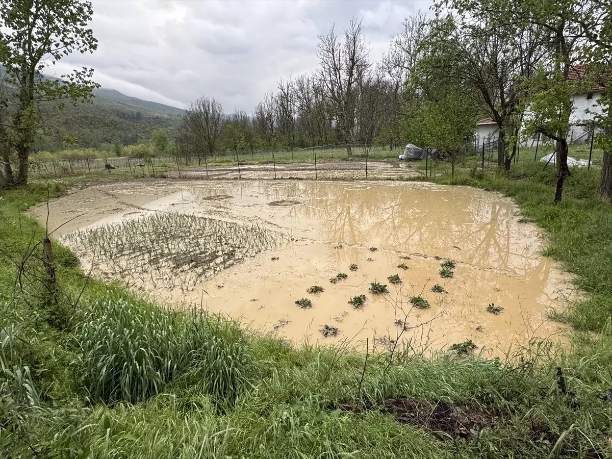 Karabük'te Sağanak ve Dolu Hayatı Olumsuz Etkiledi