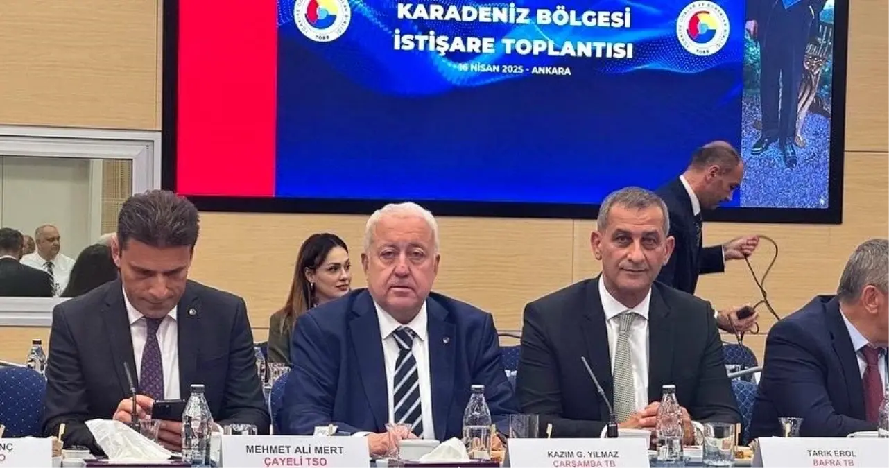 Karadeniz Bölgesi İstişare Toplantısı Yapıldı