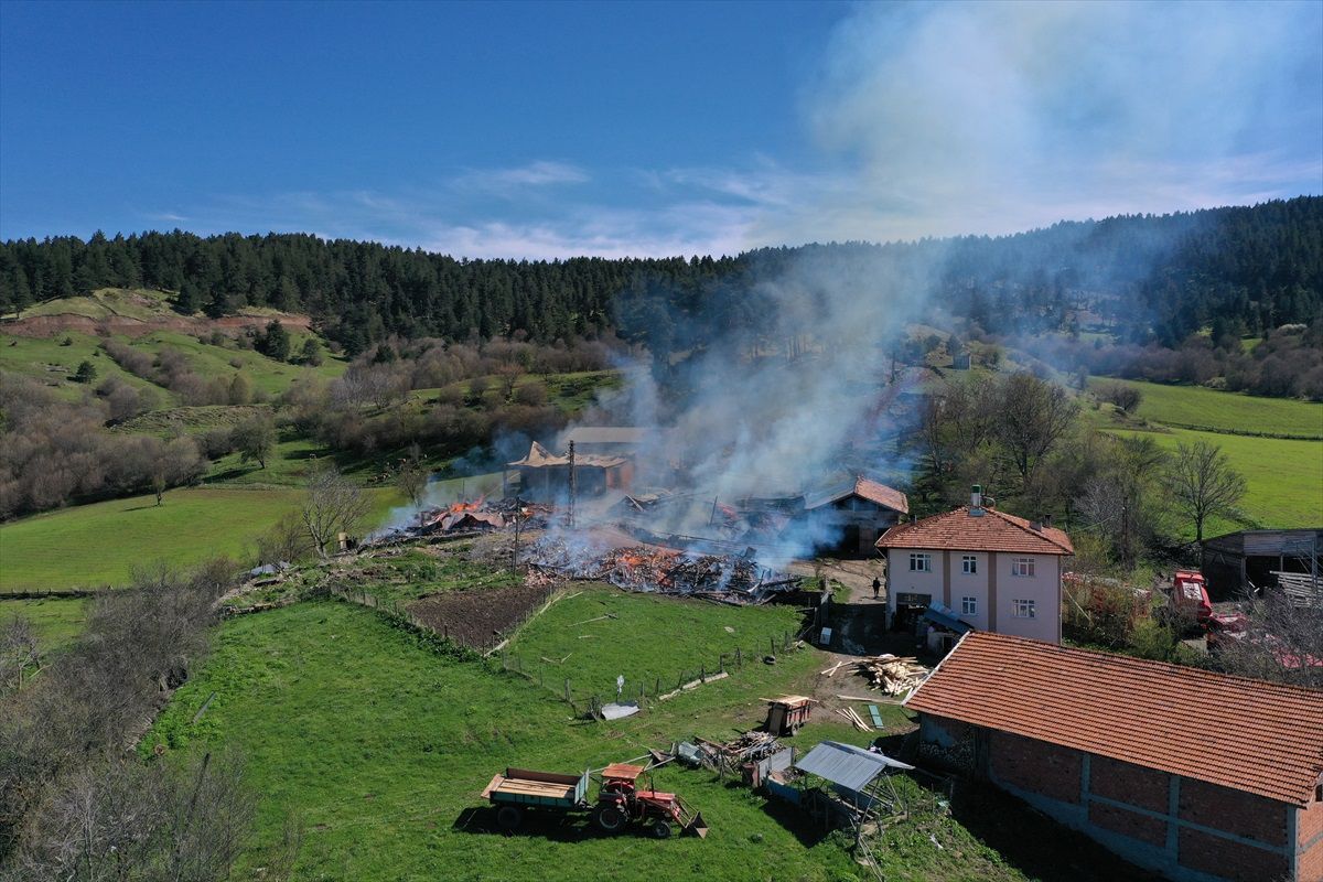 Kastamonu'da Yangın: 3 Ev ve 3 Ahır Kül Oldu