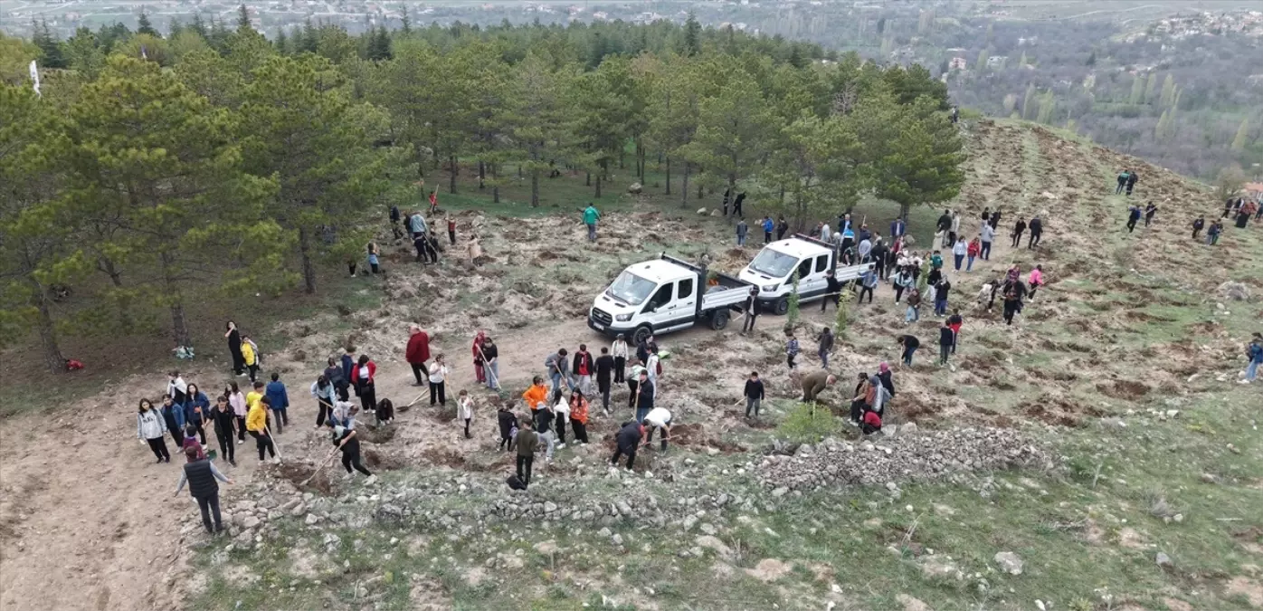 Kayseri'de 3 Bin Fidan Toprakla Buluştu