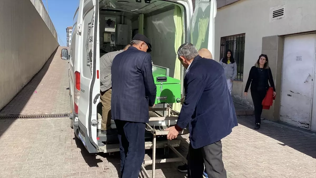 Kayseri'de Çoban Köpeklerinin Saldırısı: 72 Yaşındaki Adam Hayatını Kaybetti