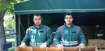 Kayseri'de 550 Bin Organik Domates Fidesi Dağıtıldı