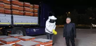 Kayseri'den Arıcılığa Destek: 600 Arılı Kovan Dağıtıldı