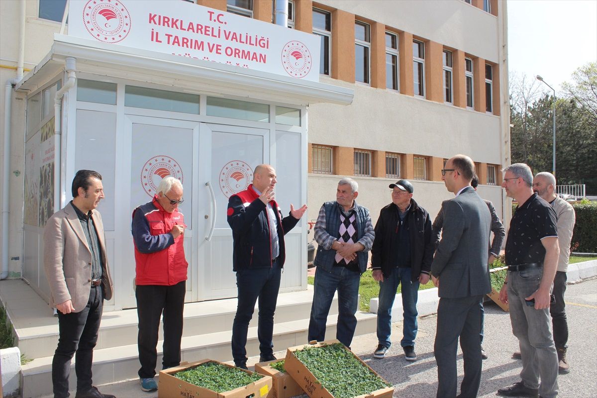 Kırklareli'nde Üreticilere 30 Bin Sebze Fidesi Dağıtıldı