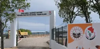 Kırklareli'nde Sokak Hayvanları için Rehabilitasyon ve Bakımevi İncelemesi