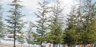 Kırşehir'de Hükümlülerden Sosyal Proje Çalışmaları
