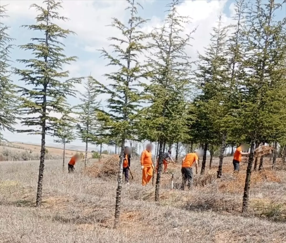 Kırşehir'de Hükümlülerden Sosyal Proje Çalışmaları