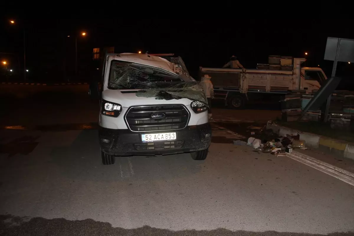 Beyşehir'de Devrilen Kamyonetteki Arılar Polisi Soktu