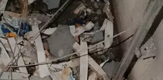 Mardin'de Asansör Boşluğuna Düşen Köpek Kurtarıldı