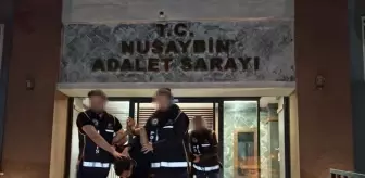 Nusaybin'de 'Dur' İhtarı Sonrası Polis Memuru Yaralandı, 3 Şüpheli Tutuklandı