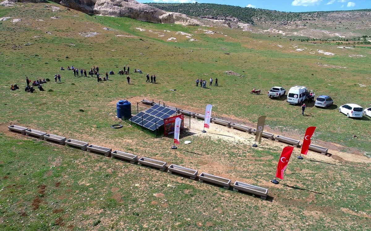 Mardin'de Güneş Enerjisiyle Hayvanların Su İhtiyacı Karşılanıyor