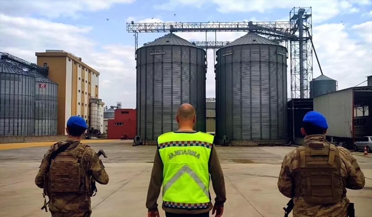Mardin'de Nitelikli Zimmet Operasyonunda 9 Tutuklama