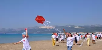 Türk ve Rus Öğrenciler Silifke'de Uçurtma Şenliği Düzenledi