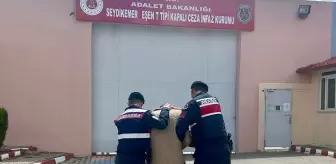 Fethiye'de 17 Yıl Hapis Cezası Olan Firari Hükümlü Yakalandı