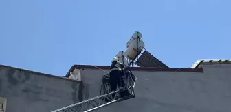 Kabloya Takılan Leylek Dalaman'da Kurtarıldı