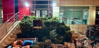 Köyceğiz'de Kenevir Yetiştiren 4 Kişi Gözaltına Alındı