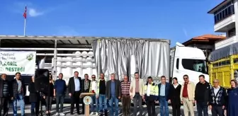 Nallıhan Belediyesi'nden Üreticilere Sera ve Bitki Koruma Örtüsü Desteği