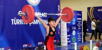 Halter Yıldızlar Türkiye Şampiyonası Sinop'ta Başladı