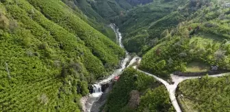 Ordu'daki Çiseli Şelalesi Yeniden Canlandı