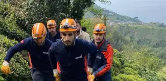 Çayeli'nde Teleferikten Düşen Kişi Hayatını Kaybetti