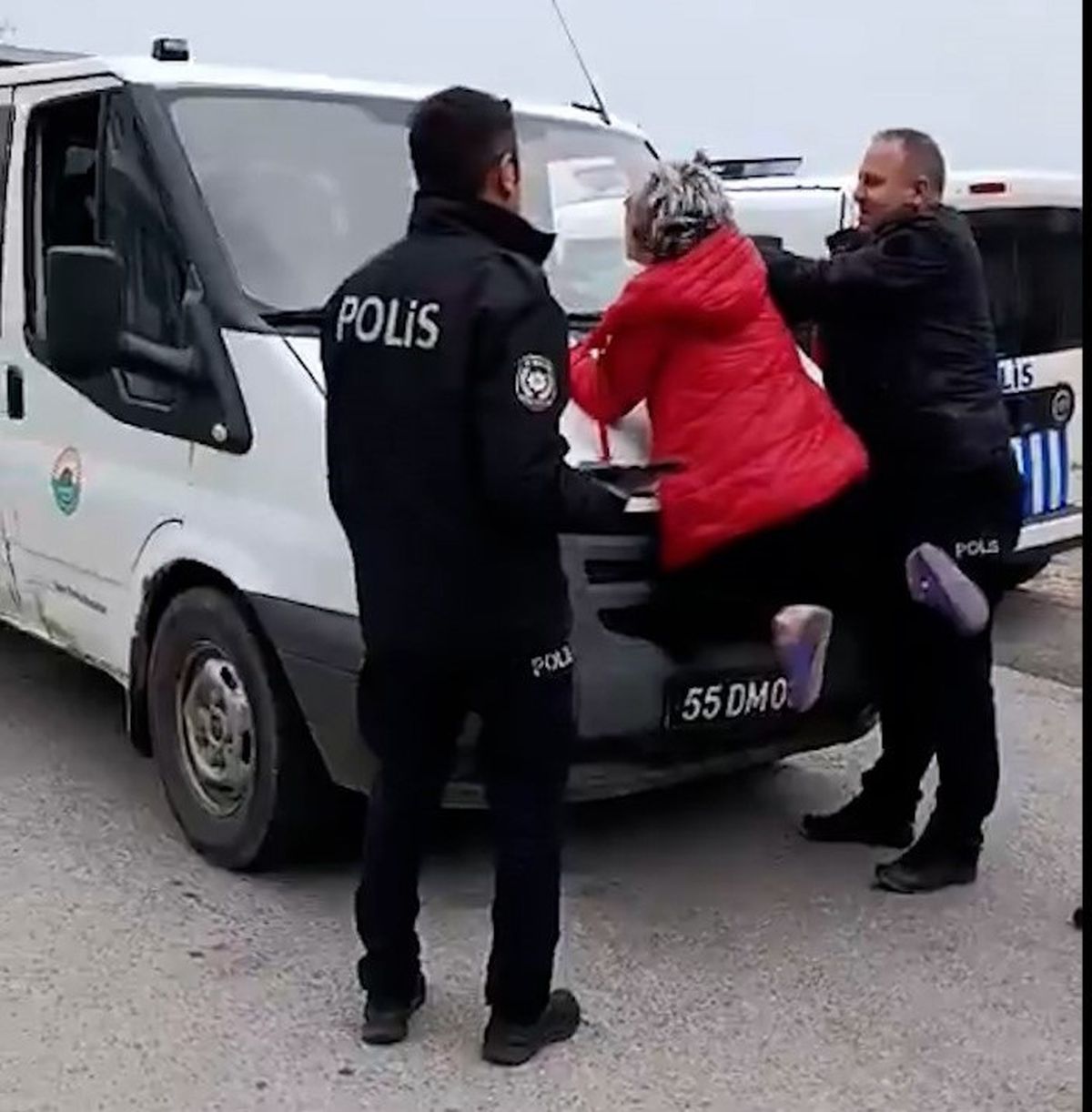 Samsun'da Kadın Zabıta Aracına Çıkarak Hayvan Toplamaya Tepki Gösterdi