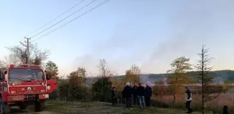 Sakarya'nın Karasu İlçesinde 50 Dönüm Alan Yangında Zarar Gördü
