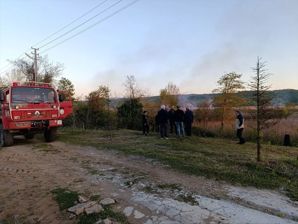 Sakarya'nın Karasu İlçesinde 50 Dönüm Alan Yangında Zarar Gördü