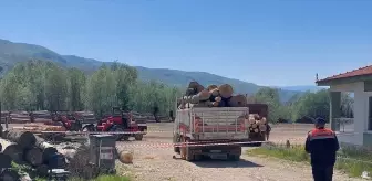 Tomruk Devrilmesi Sonucu İşçi Hayatını Kaybetti