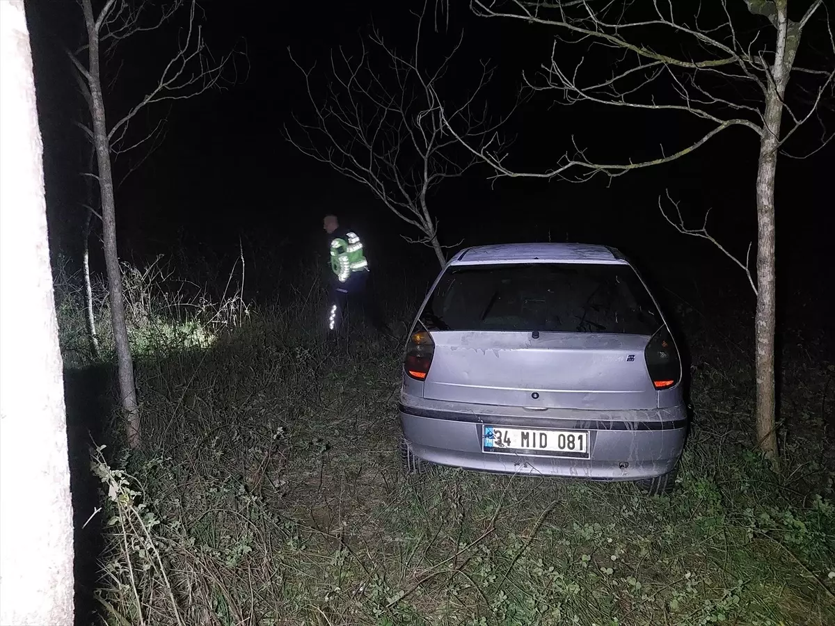 Akyazı'da Otomobil Ağaçlık Alana Girdi: 2 Yaralı
