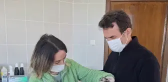 Görme Sorunu Yaşayan Atmaca Tedavi Ediliyor