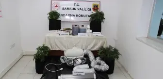 Samsun'da İklimlendirme Sistemiyle Kenevir Yetiştiren Zanlı Gözaltına Alındı