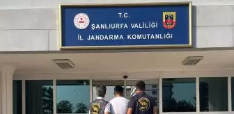 Şanlıurfa'da Kasten Adam Öldürme Suçundan 5 Zanlı Yakalandı