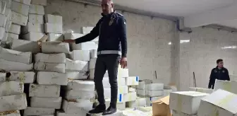 11 ton kurtlanmış ceviz ele geçirildi