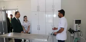 Siirt Belediyesi'nden Sokak Hayvanları İçin Rehabilitasyon Merkezi