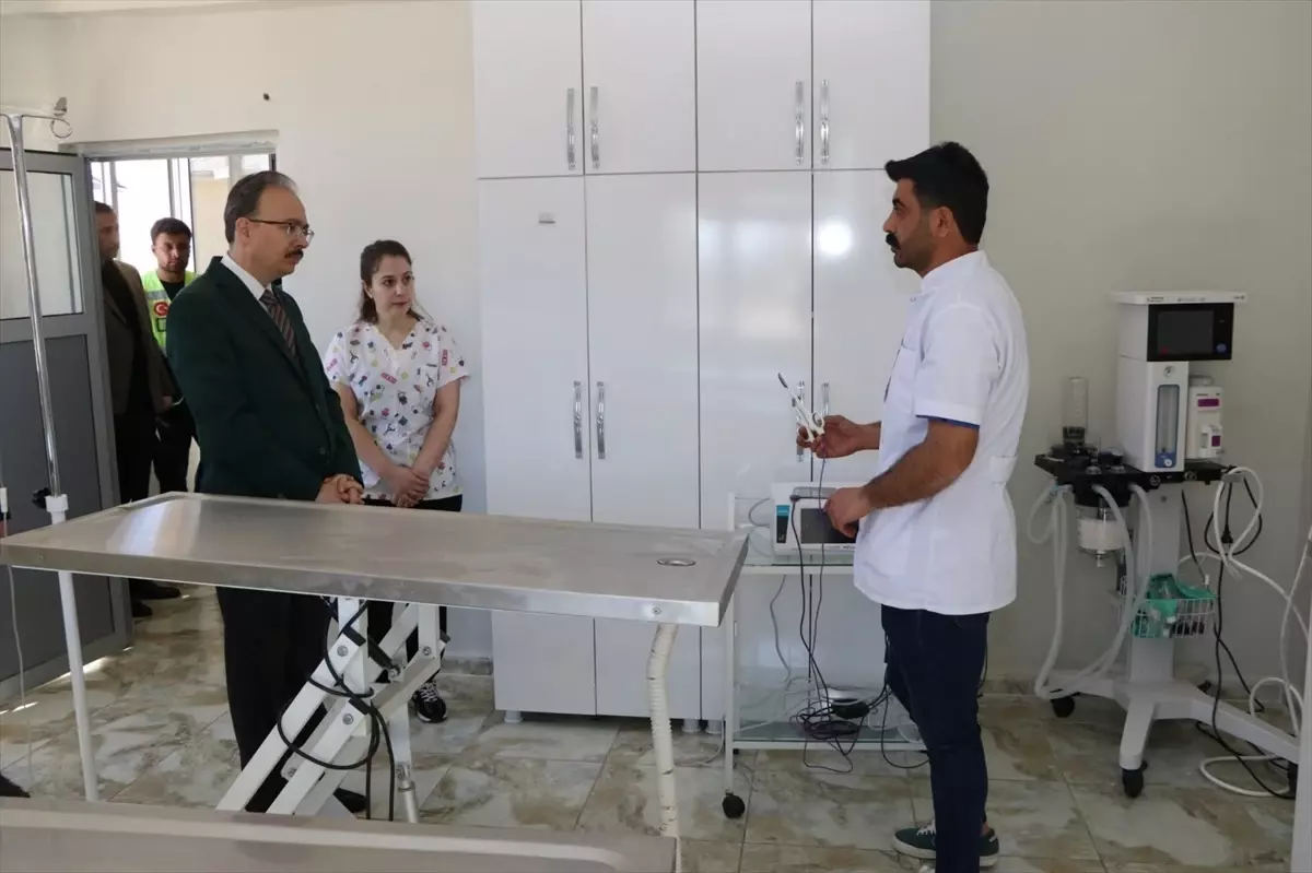 Siirt Belediyesi'nden Sokak Hayvanları İçin Rehabilitasyon Merkezi