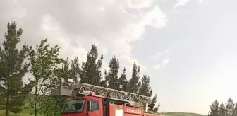 Siirt'te İki Otomobil Çarpıştı: 4 Yaralı