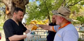 Yaralı Gökkuzgunu Sırbistan'dan Denizli'ye Geldi