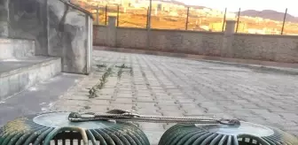 Şırnak'ta Kınalı Keklik Taşıyan Sürücüye Ceza