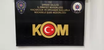 Şırnak'ta Kaçakçılık Operasyonunda 30 Şüpheli Yakalandı