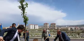 Sivas'ta Bebek Kabirlerine Kalpli Mezarlık Düzenlemesi