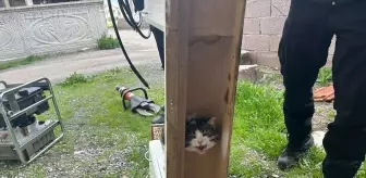 Sivas'ta Boğulma Tehlikesi Geçiren Kedi İtfaiye Ekiplerince Kurtarıldı