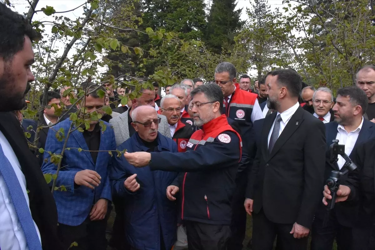 Tarım ve Orman Bakanı İbrahim Yumaklı, Ordu'da konuştu Açıklaması