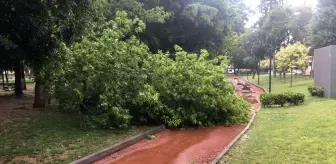 Mersin Tarsus'ta Sağanak ve Fırtına Hayatı Olumsuz Etkiledi