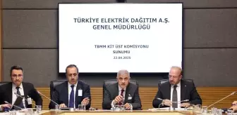 TEDAŞ, Elektrik Dağıtım Denetimlerini Açıkladı