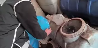 Tekirdağ'da Kaçakçılık Operasyonunda 9 Gözaltı