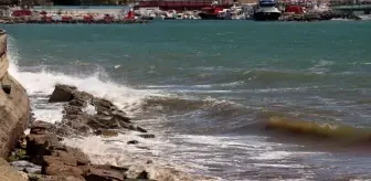 Tekirdağ Sahilinde Poyraz Etkisiyle Kırmızı Yosun Görüntüsü