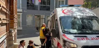 Sahipsiz Köpek Kadını Isırdı