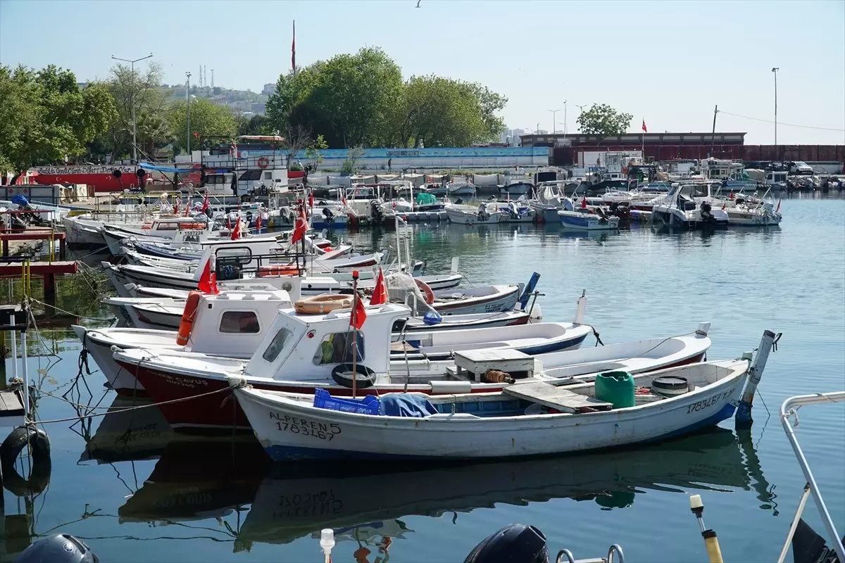 Tekirdağlı Balıkçılar Rüzgarın Dinmesiyle Denize Açıldı