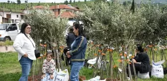 TİKA, Arnavutluk'ta İhtiyaç Sahibi Ailelere Zeytin Fidanı ve Gübre Hibe Etti